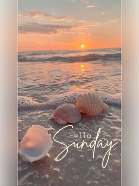 🩷 ✨ Happy Sunday Darlings ✨🩷